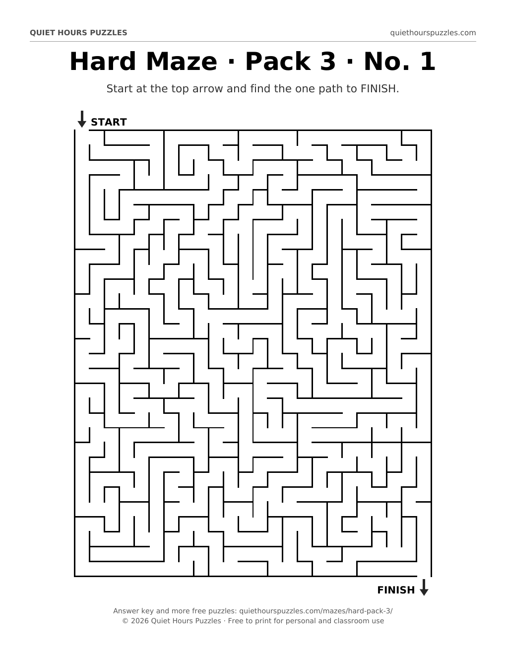 Preview of a hard maze page