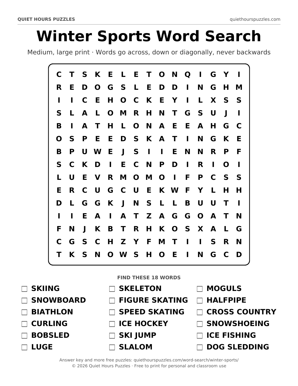 Preview of the medium winter sports word search page